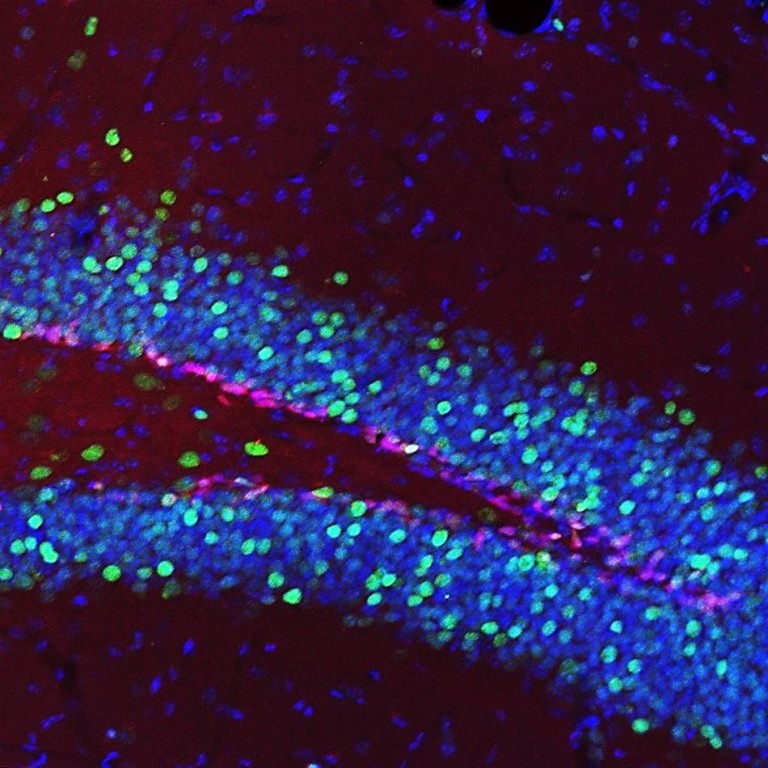 Featured image for Doctoral Researchers