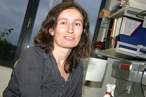 Prof. Anna Fejtová